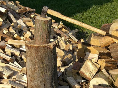 For thousands of years, wood has been the largest biomass energy source  For thousands of years, wood has been the largest biomass energy source