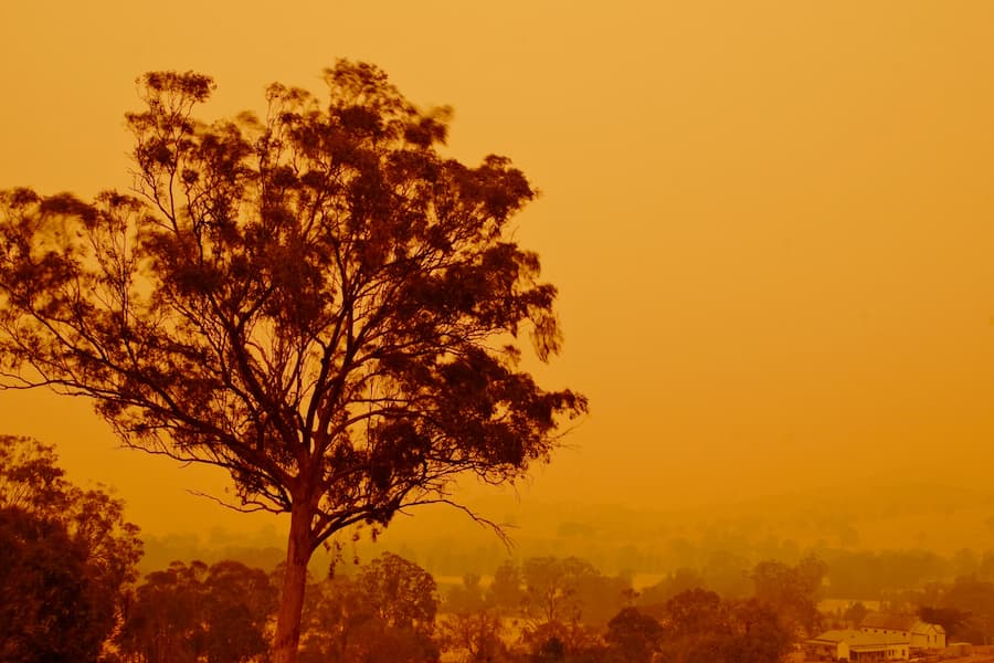 Bushfire in Australia