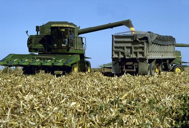 Corn ethanol is a form of biofuel that is the subject of much debate Corn ethanol is a form of biofuel that is the subject of much debate