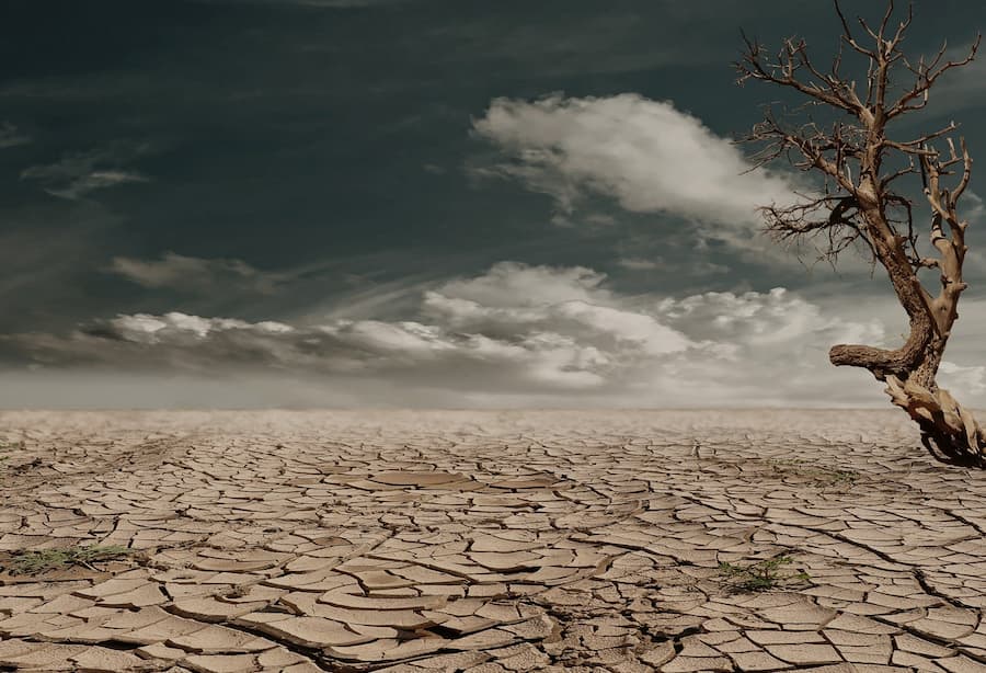 Desert Drought Desert Drought