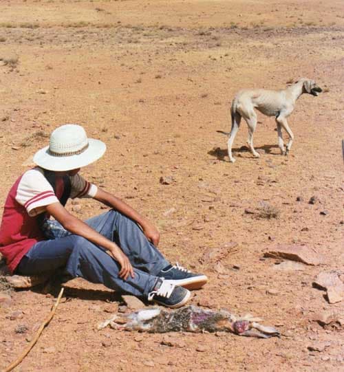 It is estimated that over 1 million species could go extinct by 2050