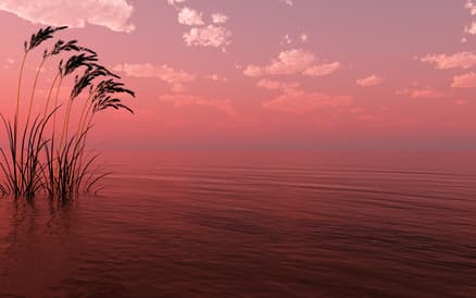 The increase in floods is one of the many effects of climate change The increase in floods is one of the many effects of climate change