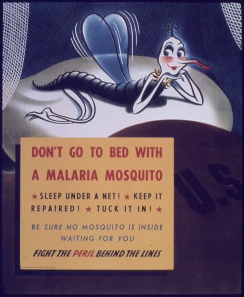 To avoid getting malaria, sleep under a net