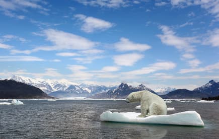 Not only will melting glaciers harm polar bears, but they could cause millions of environmental refugees Not only will melting glaciers harm polar bears, but they could cause millions of environmental refugees